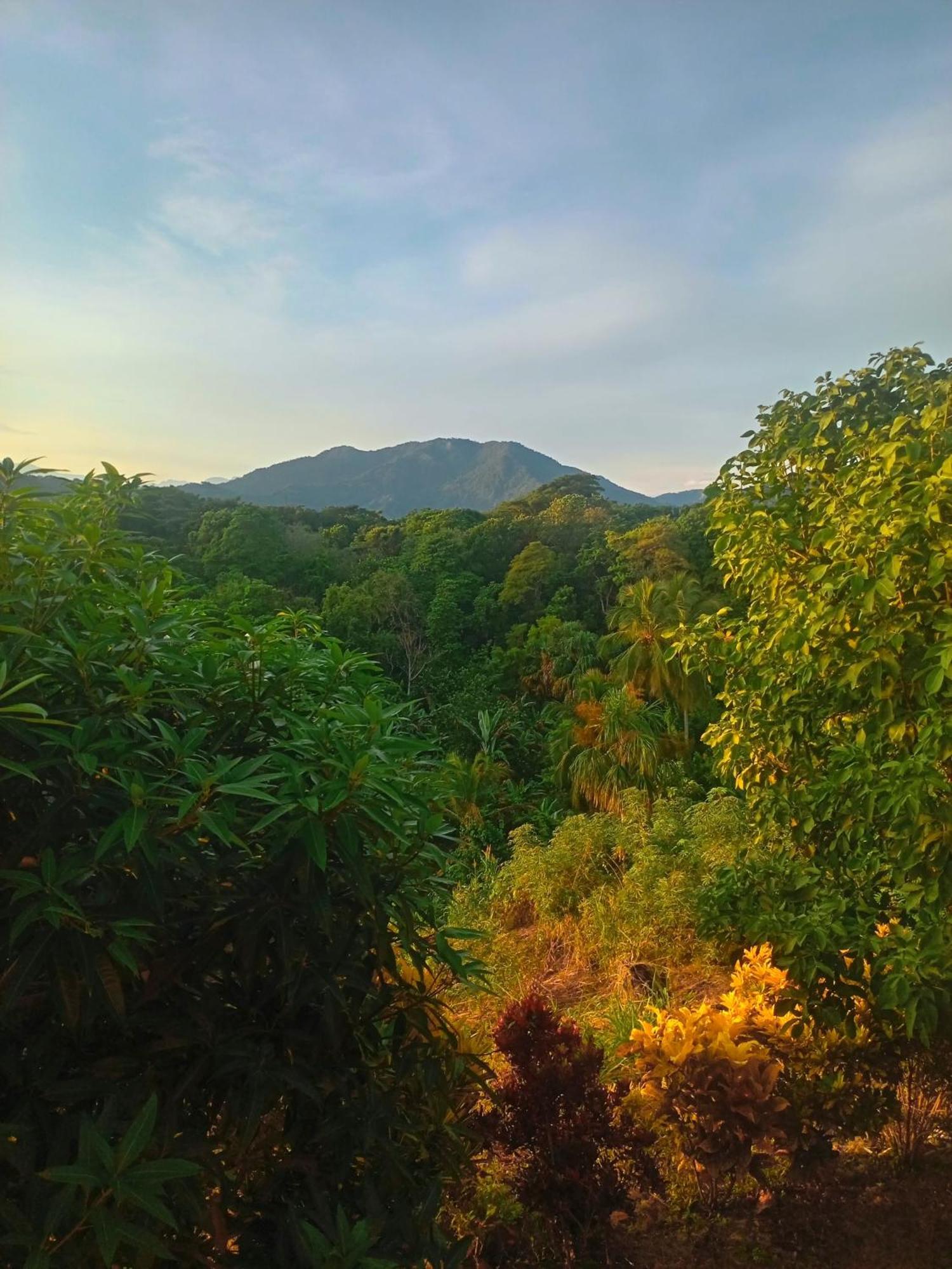 Casa Tolosa Tayrona, Los Cocos Ла-Поса Экстерьер фото
