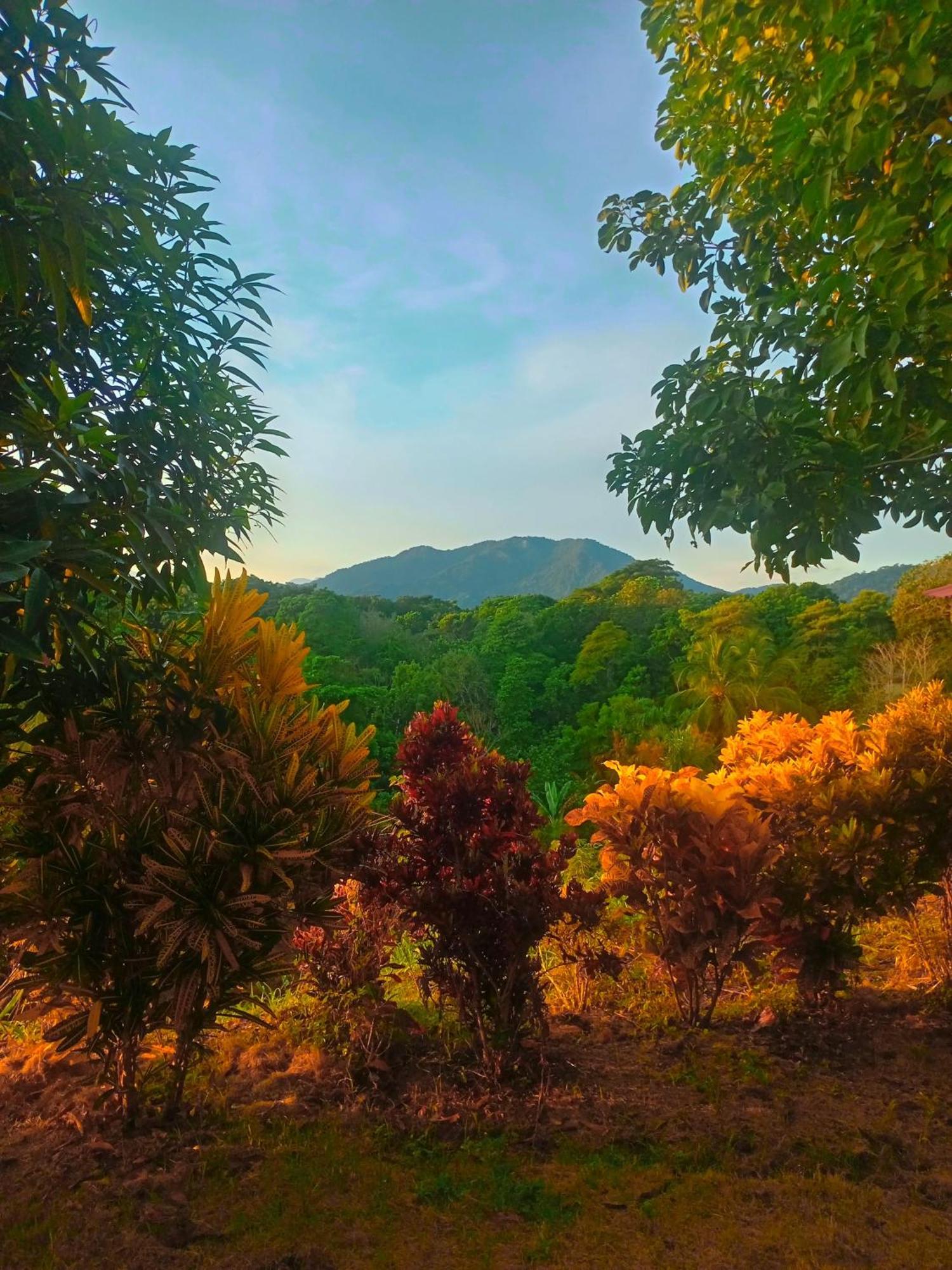 Casa Tolosa Tayrona, Los Cocos Ла-Поса Экстерьер фото